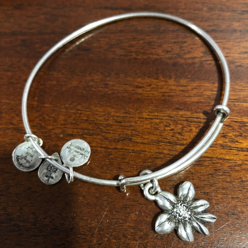 Alex and Ani bracelet
